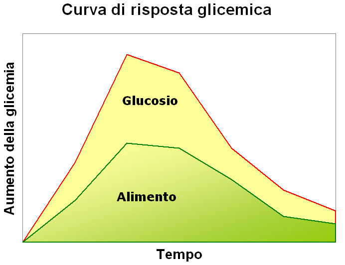 i singoli processi descritti valgono per un individuo normopeso, sano e con un alimentazione equilibrata fase post-prandiale iperglicemia e iperinsulinemia i tessuti non insulino-responsivi