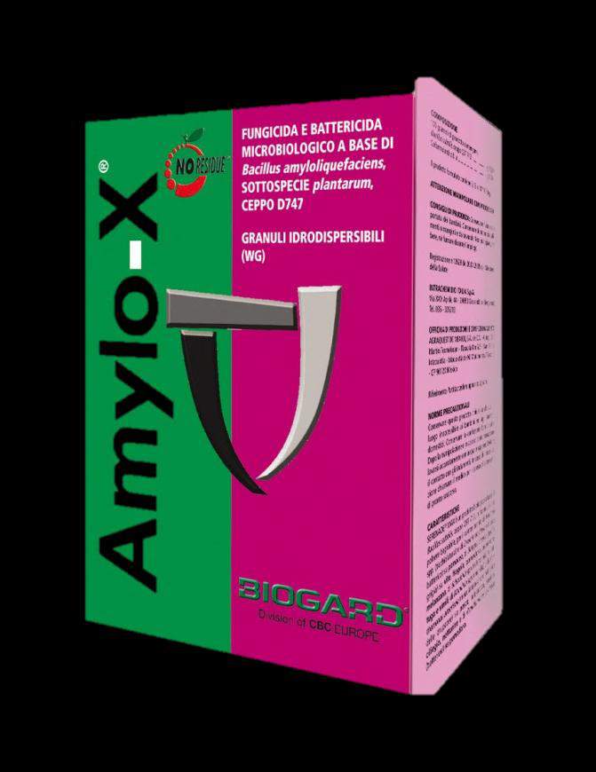 Amylo-X : il prodotto Registrazione n.
