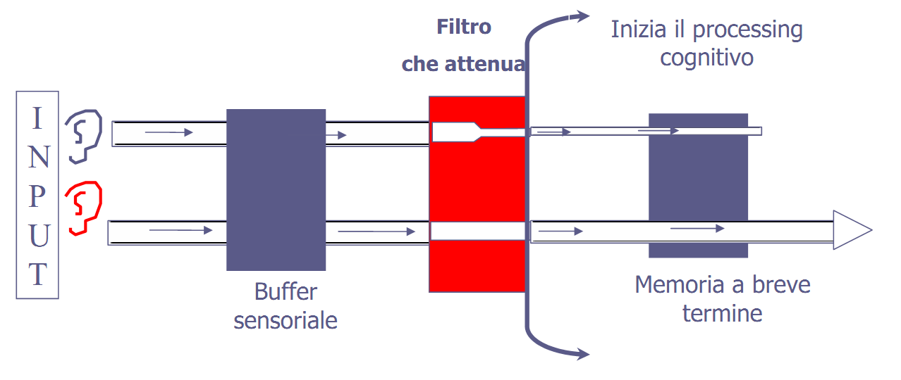 Teoria del filtro attenuato (Treisman, 1960) L informazione del canale trascurato non