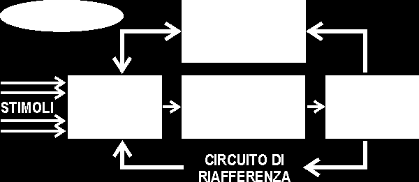 ATTO MOTORIO (Schema Cibernetico di Mahlo) Schema