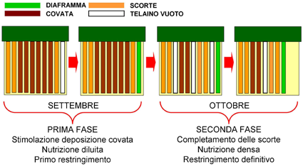 6 23 settembre 2014 IASMA Notizie SOMMINISTRAZIONE DEL CANDITO Conclusa la fase di preparazione all invernamento con il trattamento alla Varroa, le colonie devono risultare ben popolate, dotate di