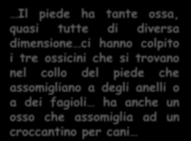 ALTRE PARTI DEL CORPO UMANO LA MANO IL PIEDE.