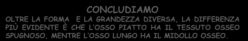 UNA DOMANDA QUALE DIFFERENZA PUOI OSSERVARE NELLA SEZIONE DELL OSSO LUNGO E IN QUELLA DELL OSSO PIATTO?