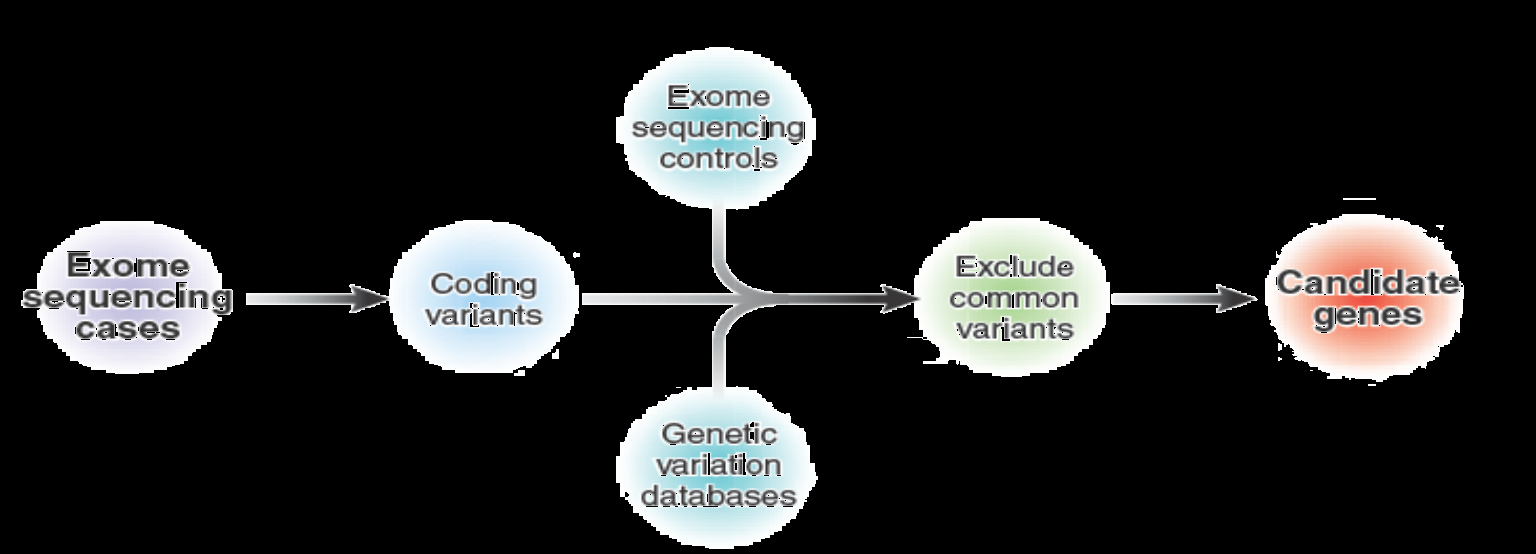 Variant Filtering Modalità di trasmissione Analisi di