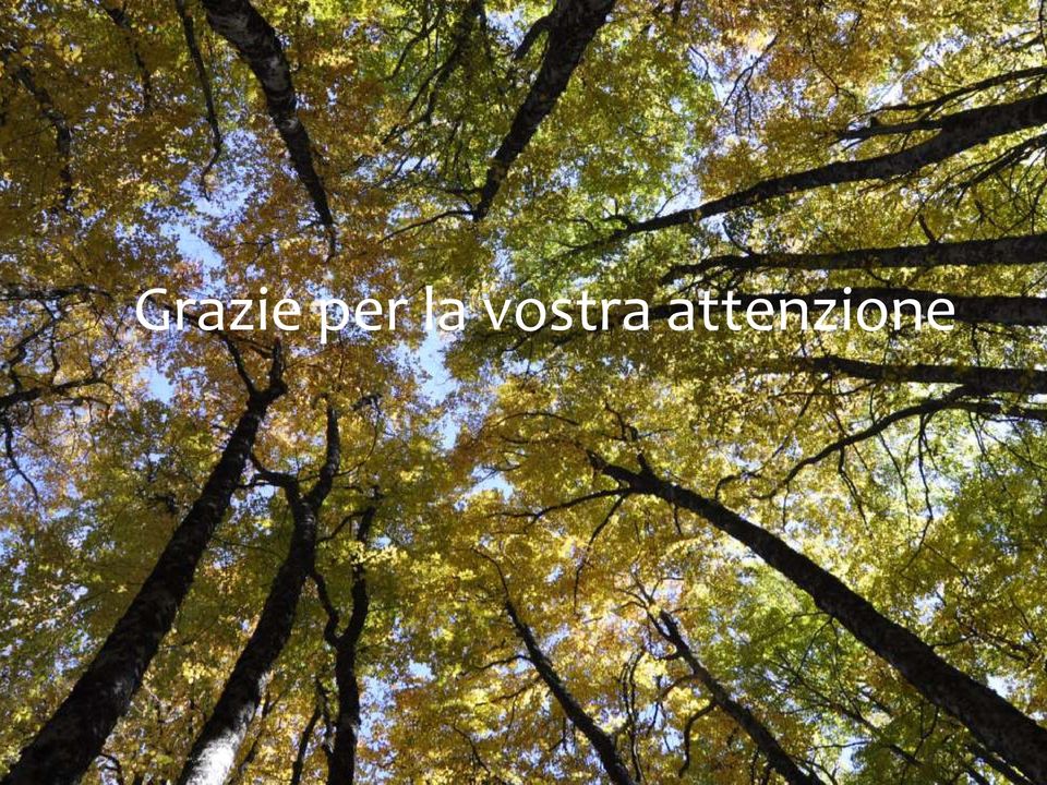 vostra