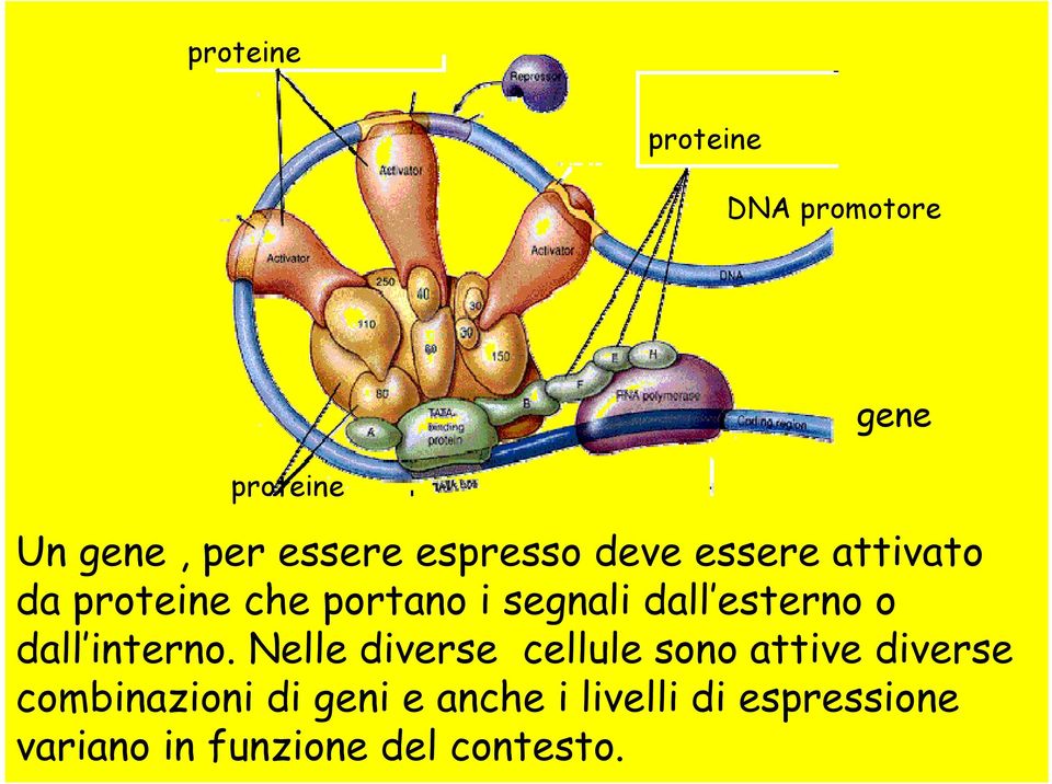 esterno o dall interno.