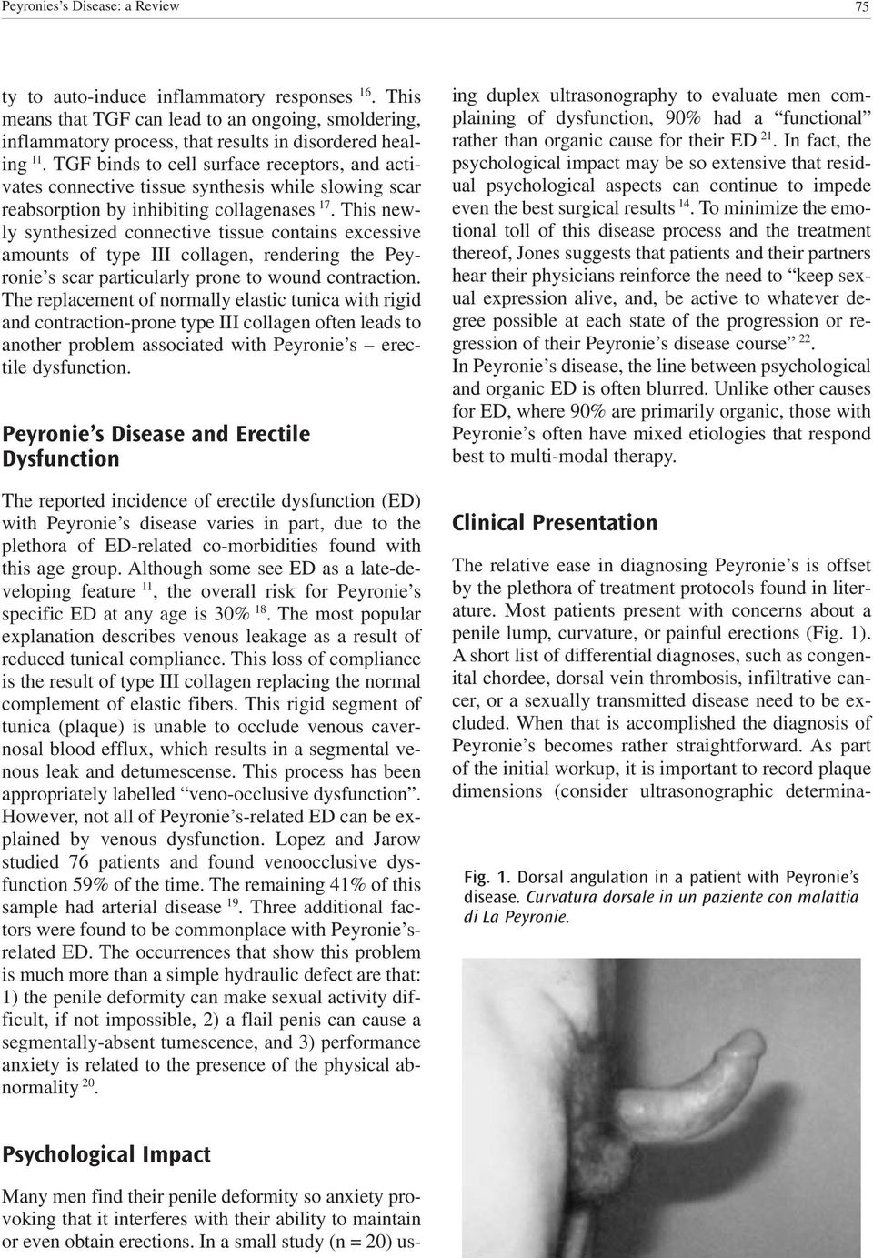 This newly synthesized connective tissue contains excessive amounts of type III collagen, rendering the Peyronie s scar particularly prone to wound contraction.