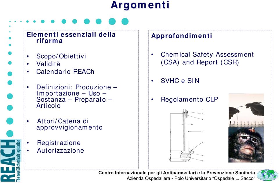 Articolo Approfondimenti Chemical Safety Assessment (CSA) and Report (CSR)