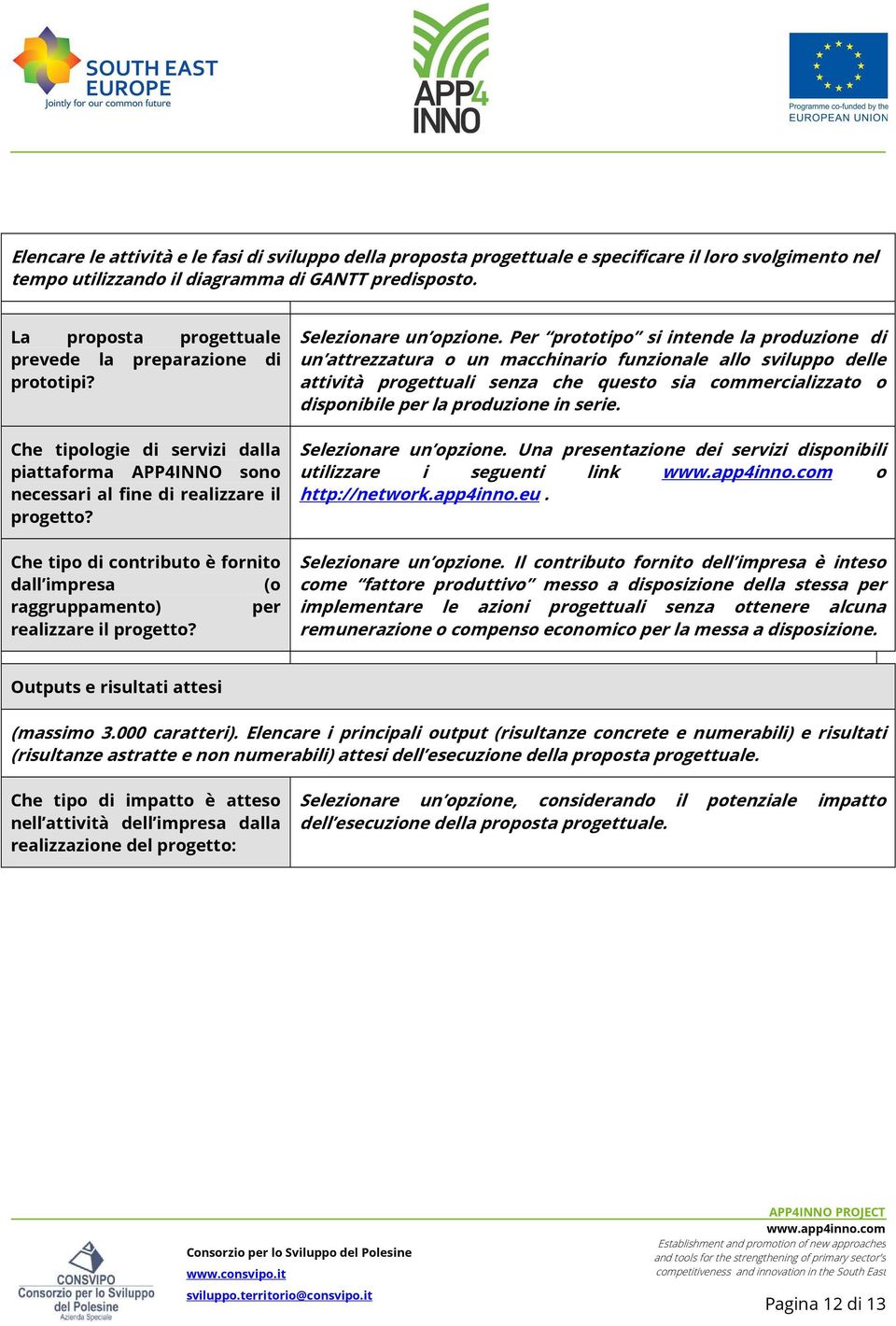 Che tipo di contributo è fornito dall impresa (o raggruppamento) per realizzare il progetto? Selezionare un opzione.