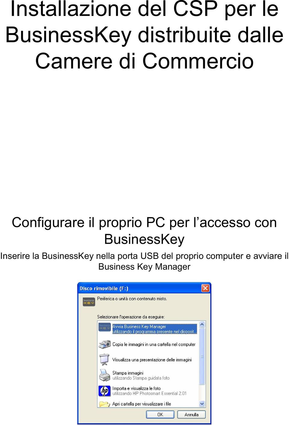 accesso con BusinessKey Inserire la BusinessKey nella