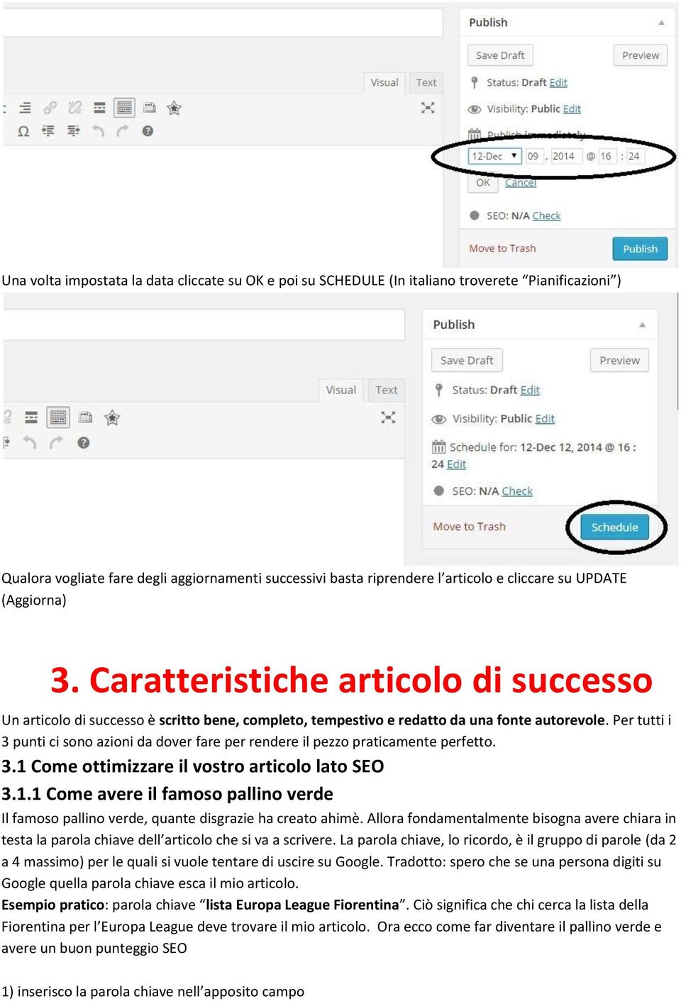 Per tutti i 3 punti ci sono azioni da dover fare per rendere il pezzo praticamente perfetto. 3.1 Come ottimizzare il vostro articolo lato SEO 3.1.1 Come avere il famoso pallino verde Il famoso pallino verde, quante disgrazie ha creato ahimè.