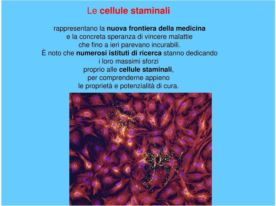 È noto che numerosi istituti di ricerca stanno dedicando i loro massimi sforzi