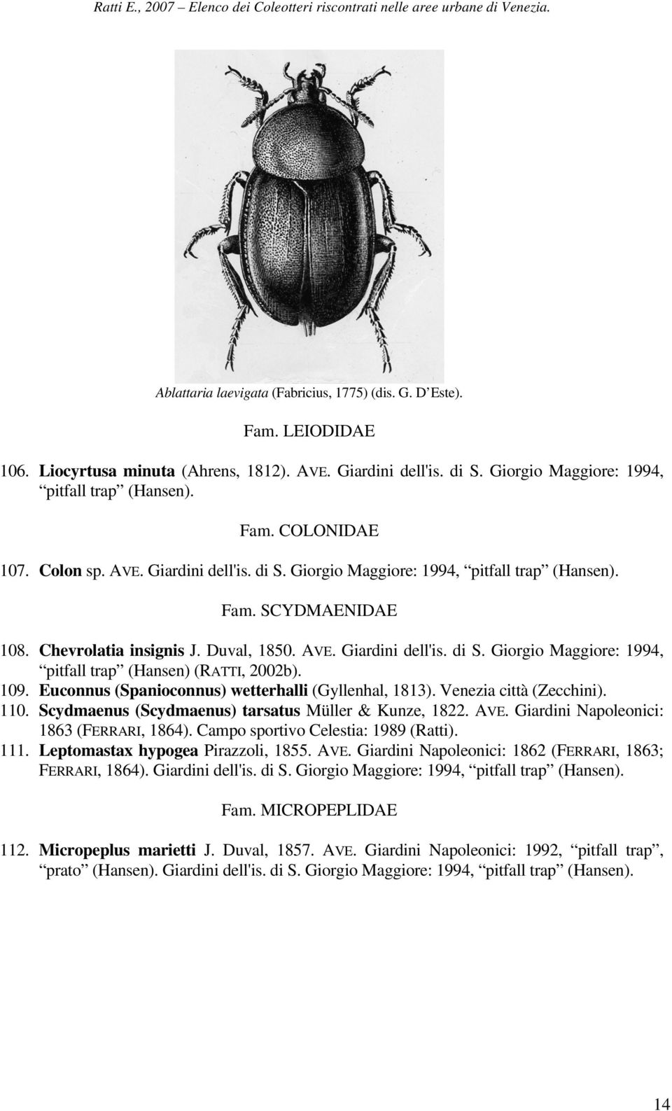 109. Euconnus (Spanioconnus) wetterhalli (Gyllenhal, 1813). Venezia città (Zecchini). 110. Scydmaenus (Scydmaenus) tarsatus Müller & Kunze, 1822. AVE. Giardini Napoleonici: 1863 (FERRARI, 1864).