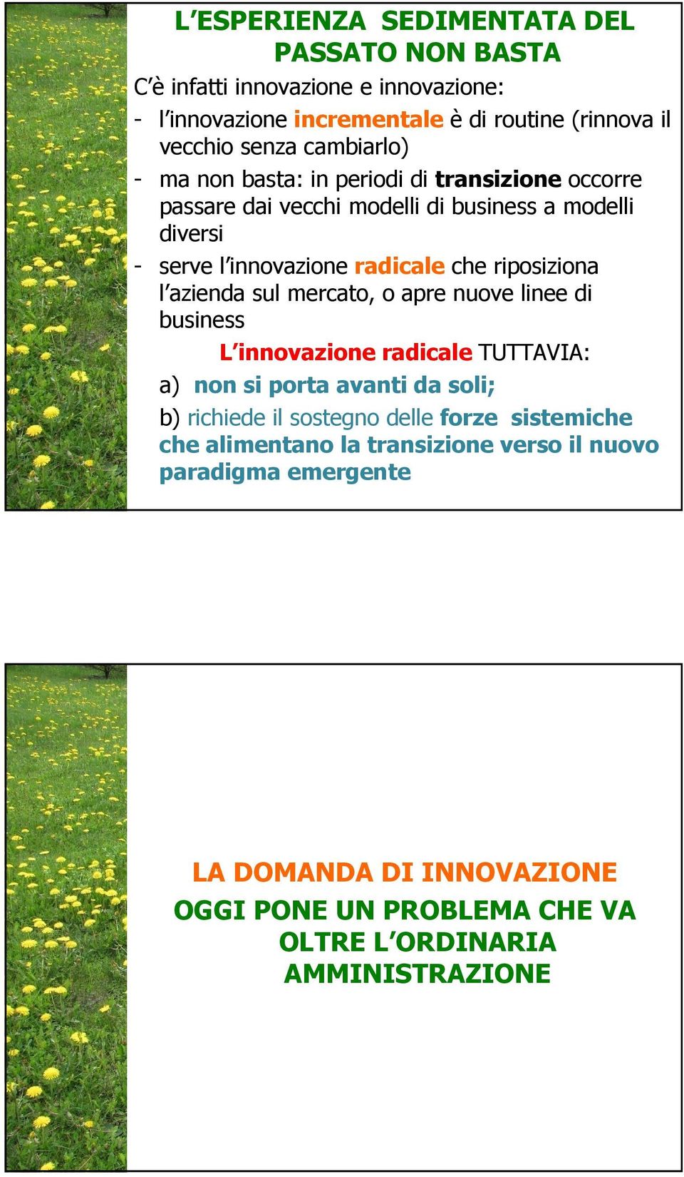 riposiziona l azienda sul mercato, o apre nuove linee di business L innovazione radicale TUTTAVIA: a) non si porta avanti da soli; b) richiede il sostegno