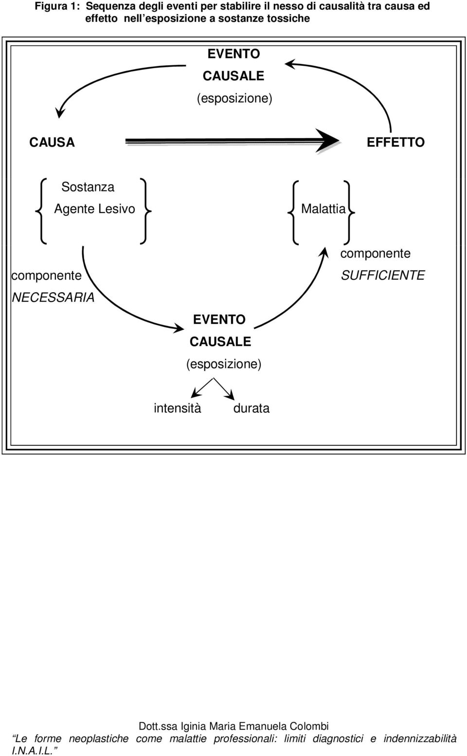 (esposizione) CAUSA EFFETTO Sostanza Agente Lesivo Malattia componente