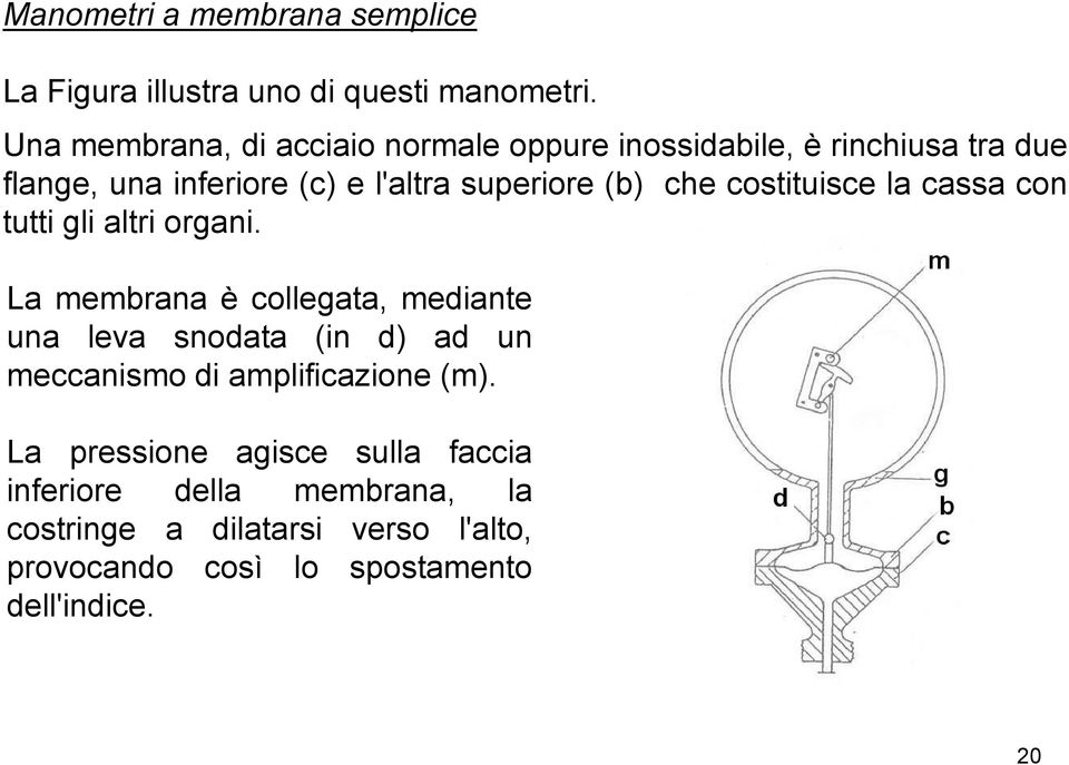 che costituisce la cassa con tutti gli altri organi.