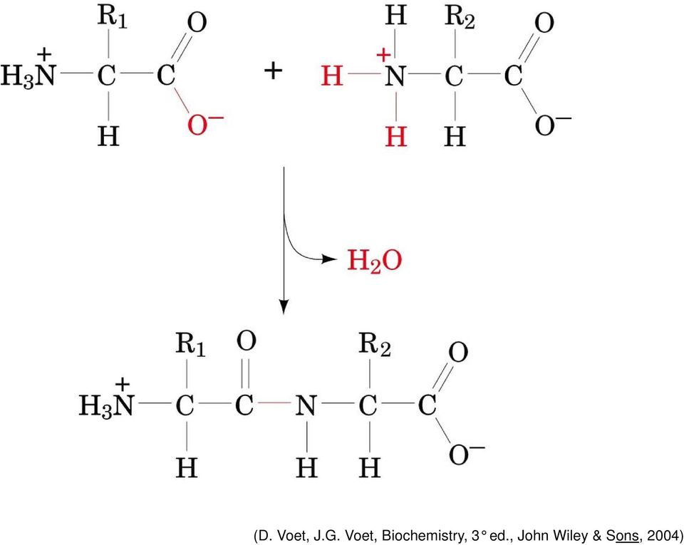 Biochemistry, 3