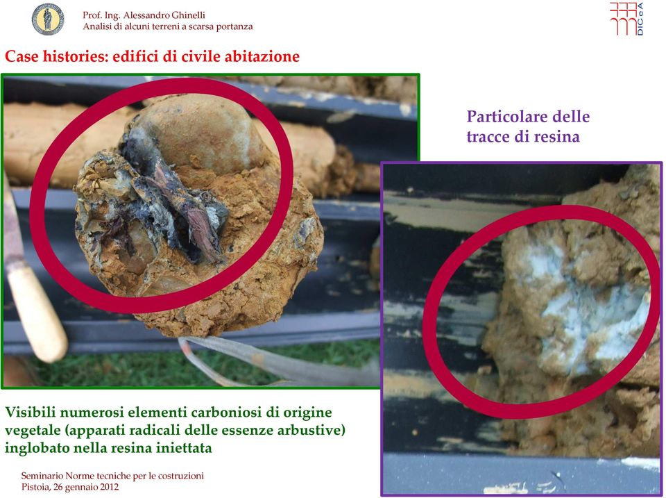 elementi carboniosi di origine vegetale (apparati