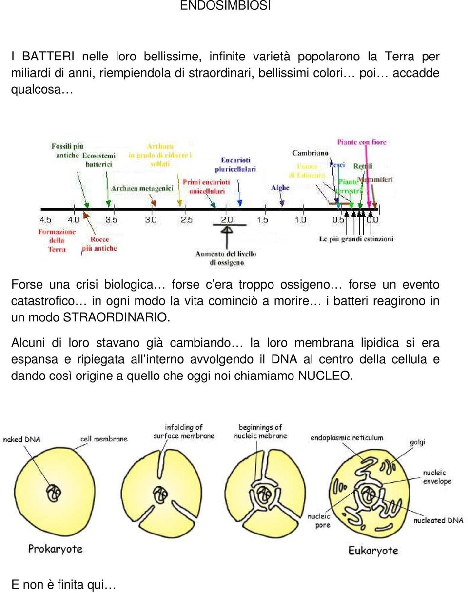 vita cominciò a morire i batteri reagirono in un modo STRAORDINARIO.