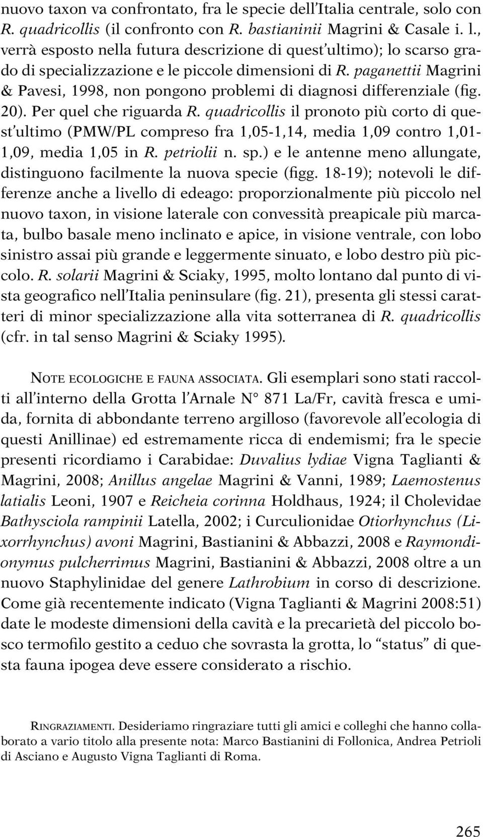 quadricollis il pronoto più corto di quest ultimo (PMW/PL compreso fra 1,05-1,14, media 1,09 contro 1,01-1,09, media 1,05 in R. petriolii n. sp.