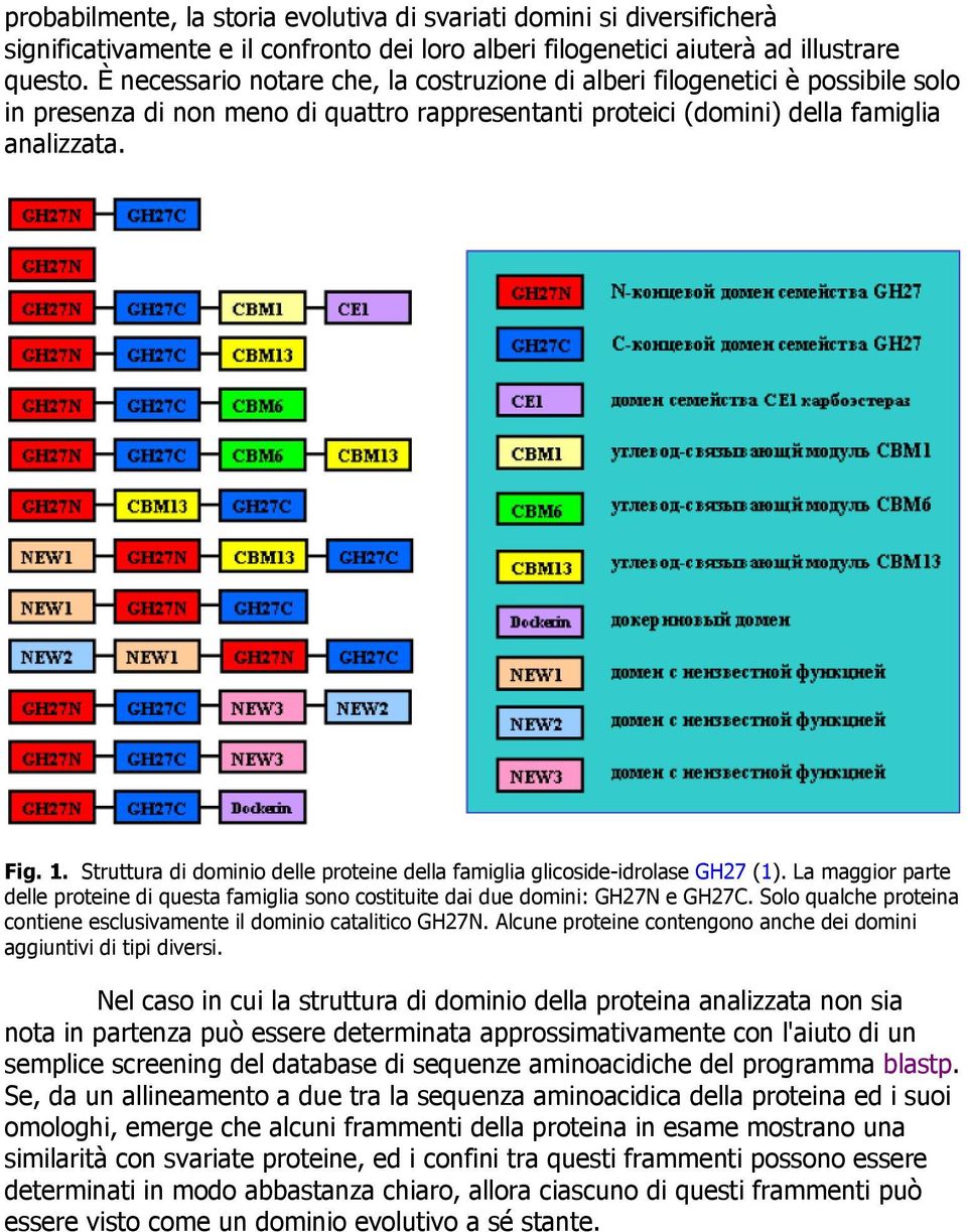 Struttura di dominio delle proteine della famiglia glicoside-idrolase GH27 (1). La maggior parte delle proteine di questa famiglia sono costituite dai due domini: GH27N e GH27C.