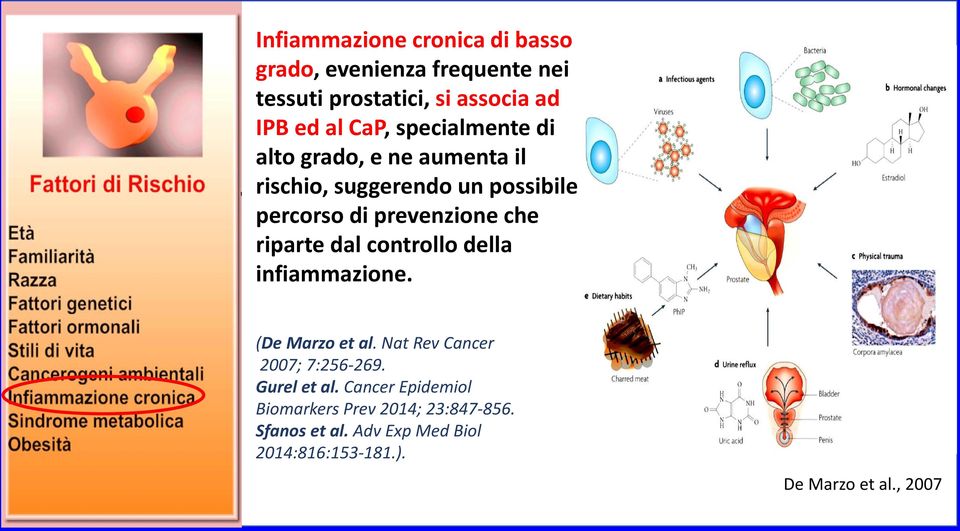 riparte dal controllo della infiammazione. (De Marzo et al. Nat Rev Cancer 2007; 7:256-269. Gurel et al.