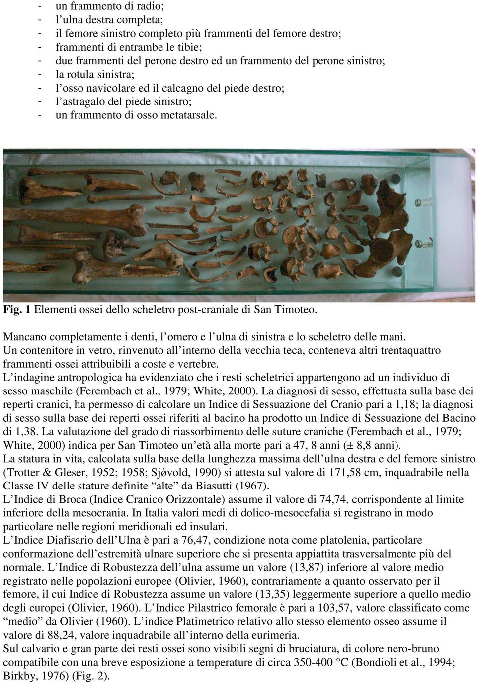 1 Elementi ossei dello scheletro post-craniale di San Timoteo. Mancano completamente i denti, l omero e l ulna di sinistra e lo scheletro delle mani.