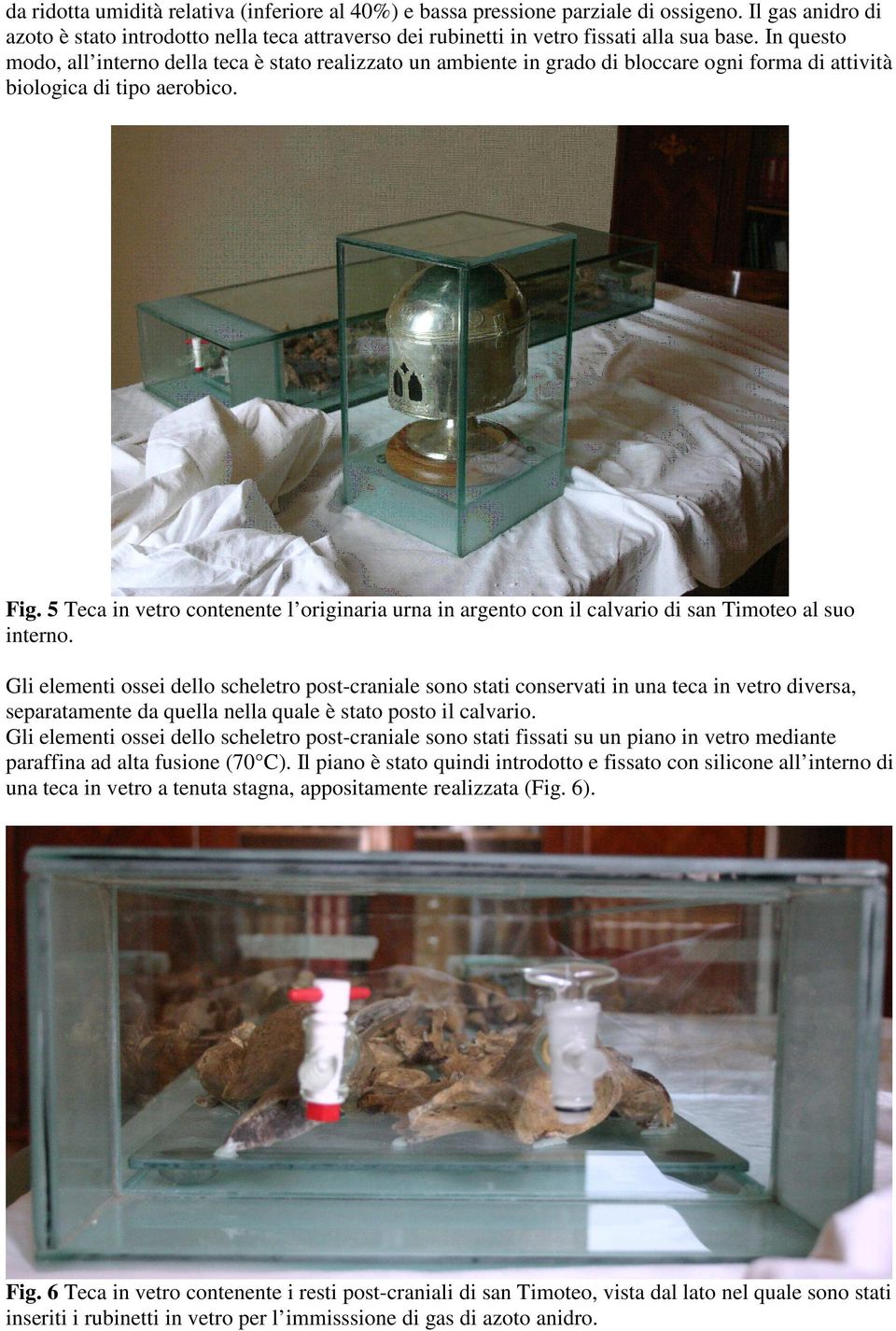 5 Teca in vetro contenente l originaria urna in argento con il calvario di san Timoteo al suo interno.