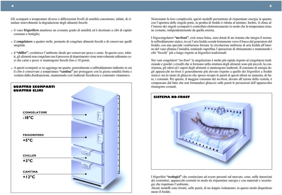 costituisce l ambiente ideale per conservare pesce e carne.