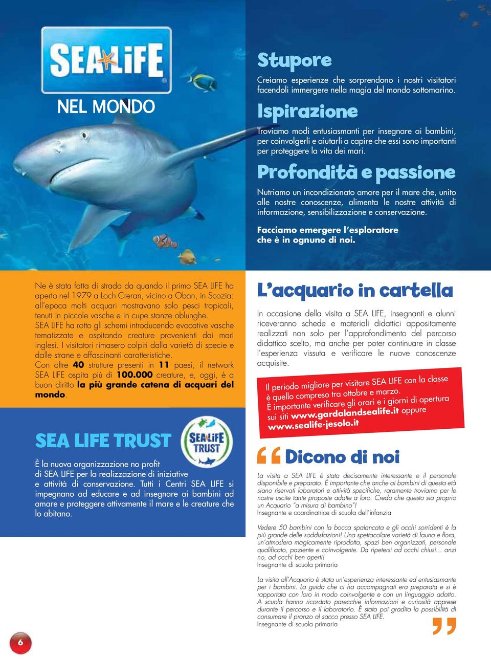 Profondità e passione Nutriamo un incondizionato amore per il mare che, unito alle nostre conoscenze, alimenta le nostre attività di informazione, sensibilizzazione e conservazione.