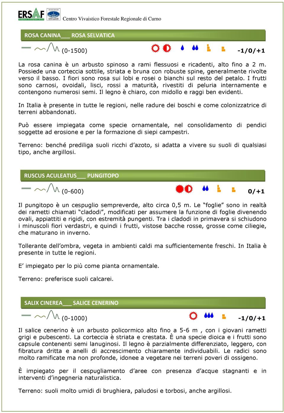 I frutti sono carnosi, ovoidali, lisci, rossi a maturità, rivestiti di peluria internamente e contengono numerosi semi. Il legno è chiaro, con midollo e raggi ben evidenti.