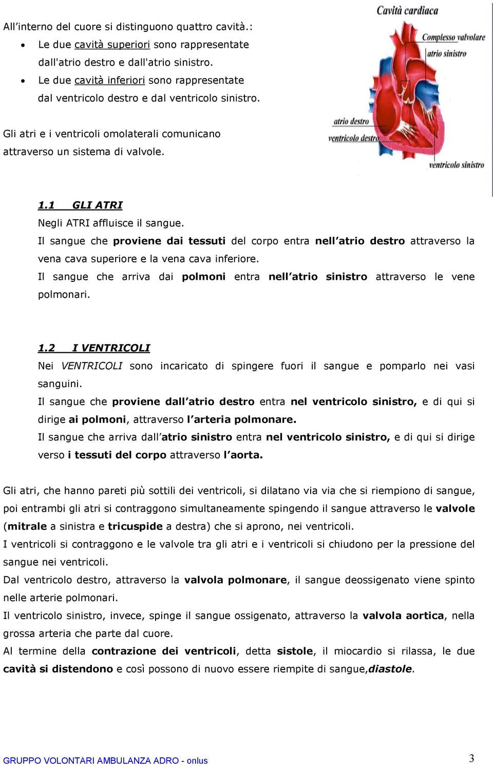 1 GLI ATRI Negli ATRI affluisce il sangue. Il sangue che proviene dai tessuti del corpo entra nell atrio destro attraverso la vena cava superiore e la vena cava inferiore.