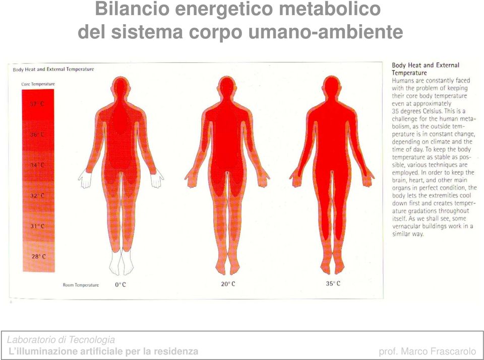 metabolico del