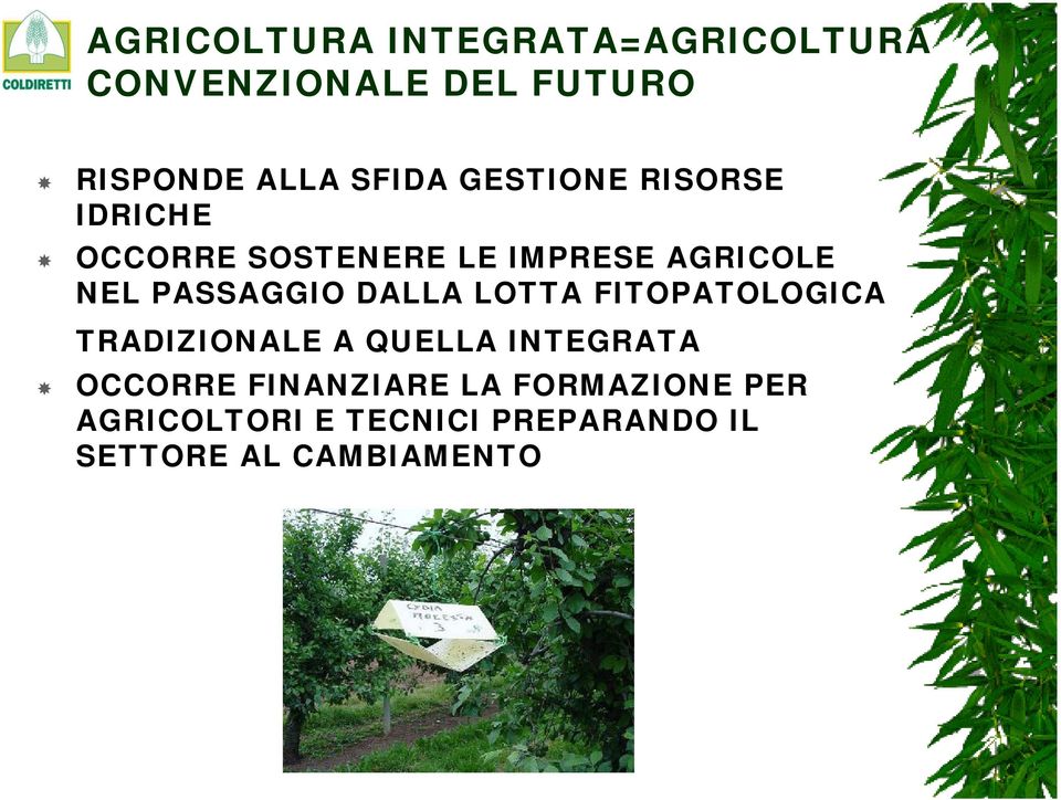 PASSAGGIO DALLA LOTTA FITOPATOLOGICA TRADIZIONALE A QUELLA INTEGRATA OCCORRE