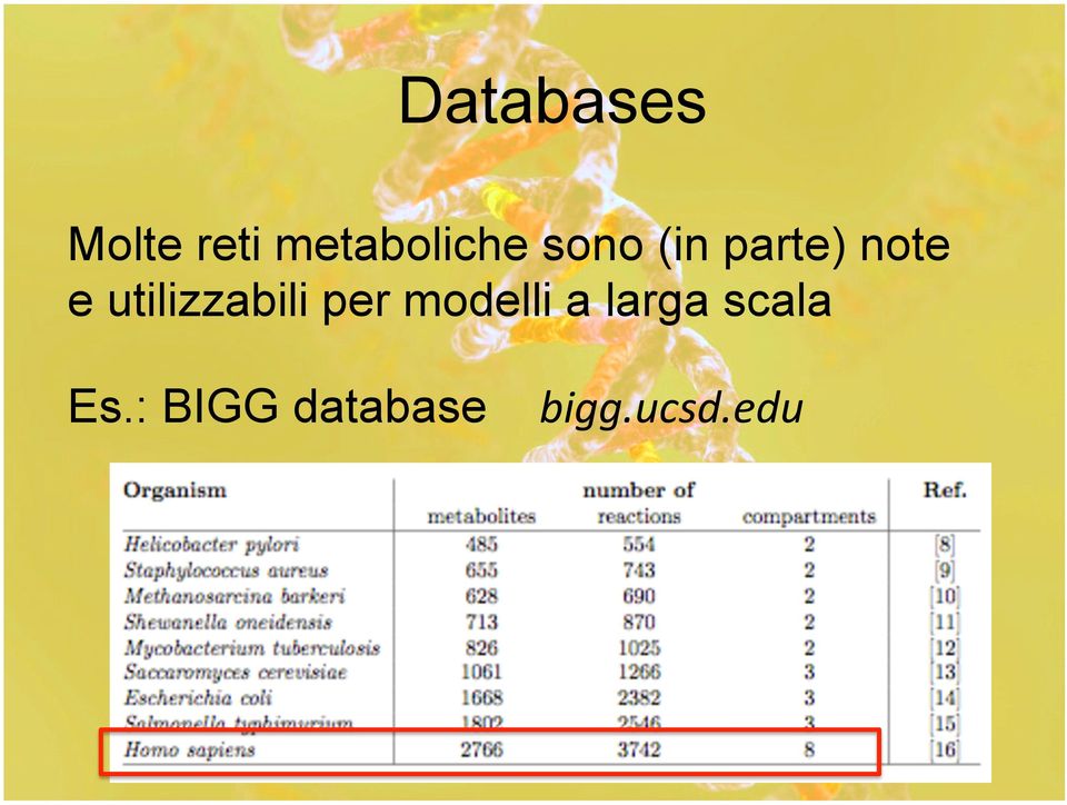 note e utilizzabili per modelli