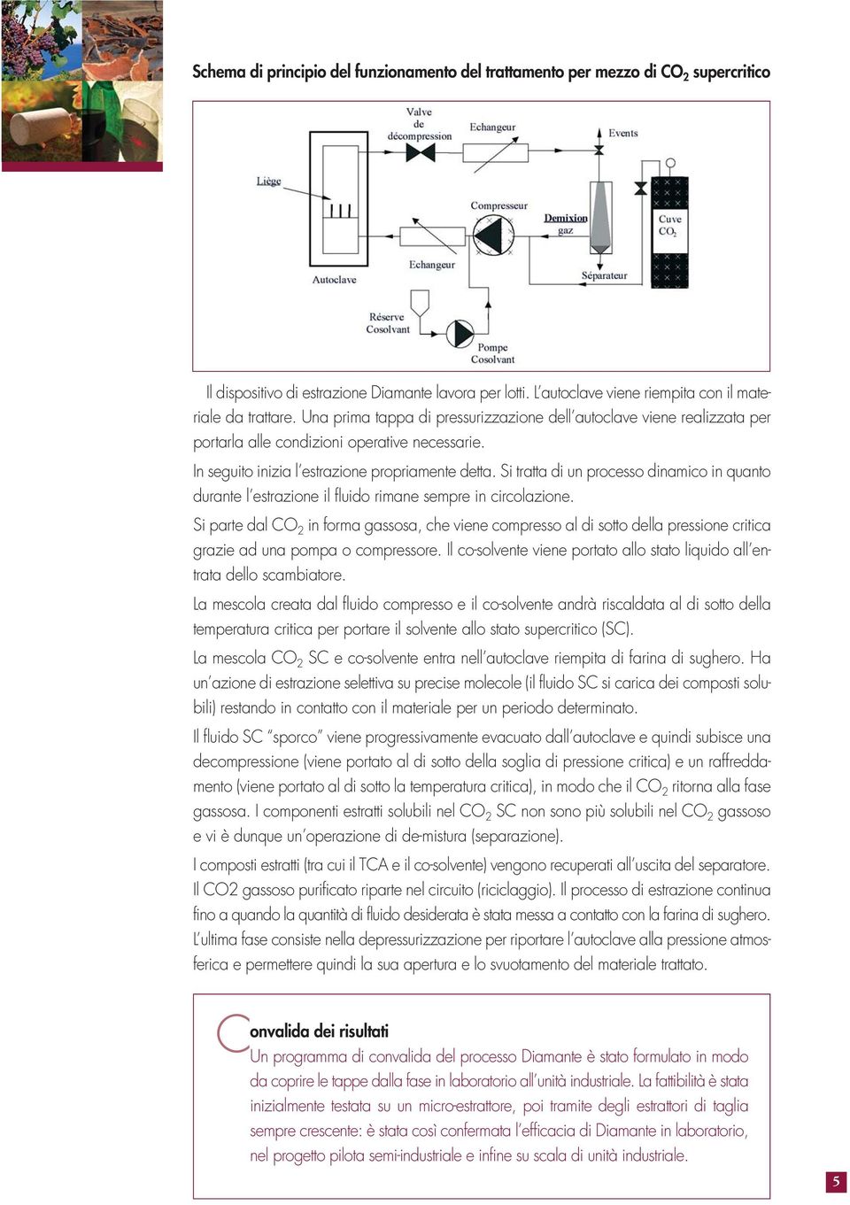 Si tratta di un processo dinamico in quanto durante l estrazione il fluido rimane sempre in circolazione.