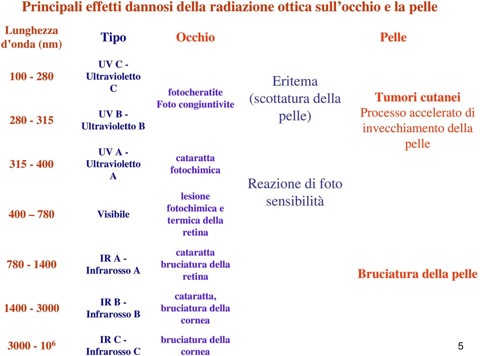 retina Eritema (scottatura della pelle) Reazione di foto sensibilità Tumori cutanei Processo accelerato di invecchiamento della pelle 780-1400 IR A - Infrarosso A