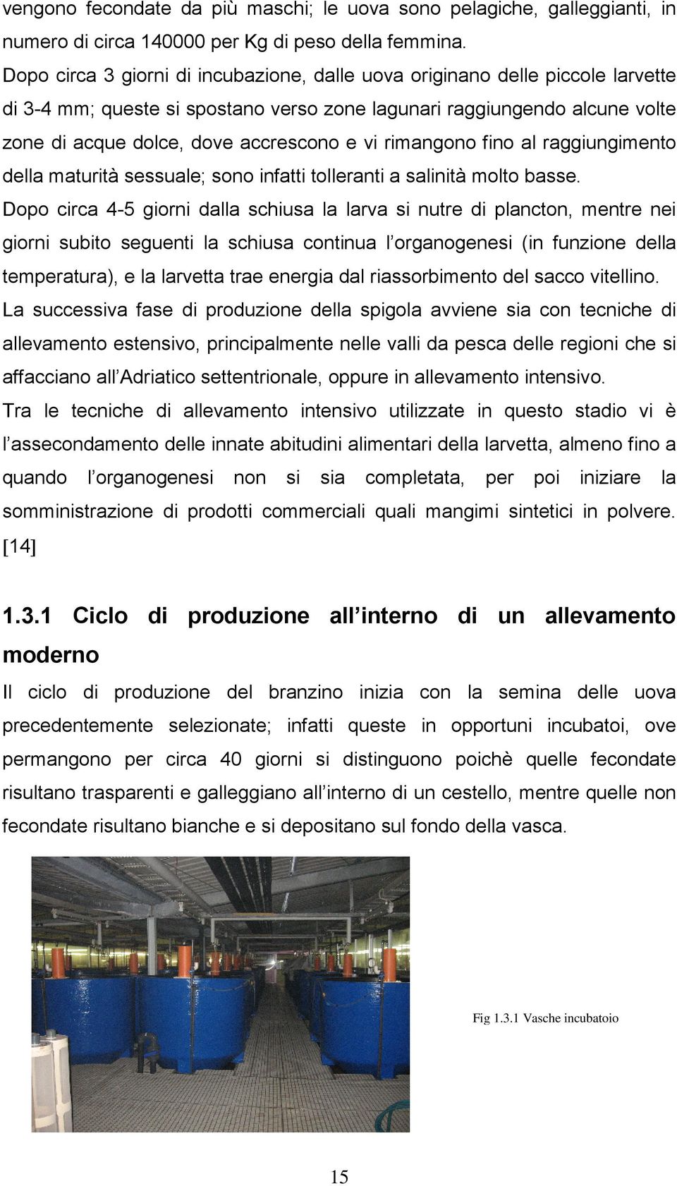 rimangono fino al raggiungimento della maturità sessuale; sono infatti tolleranti a salinità molto basse.