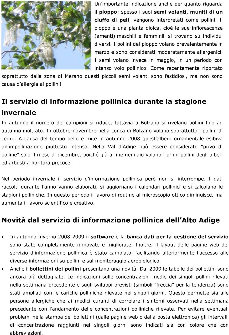 I pollini del pioppo volano prevalentemente in marzo e sono considerati moderatamente allergenici. I semi volano invece in maggio, in un periodo con intenso volo pollinico.