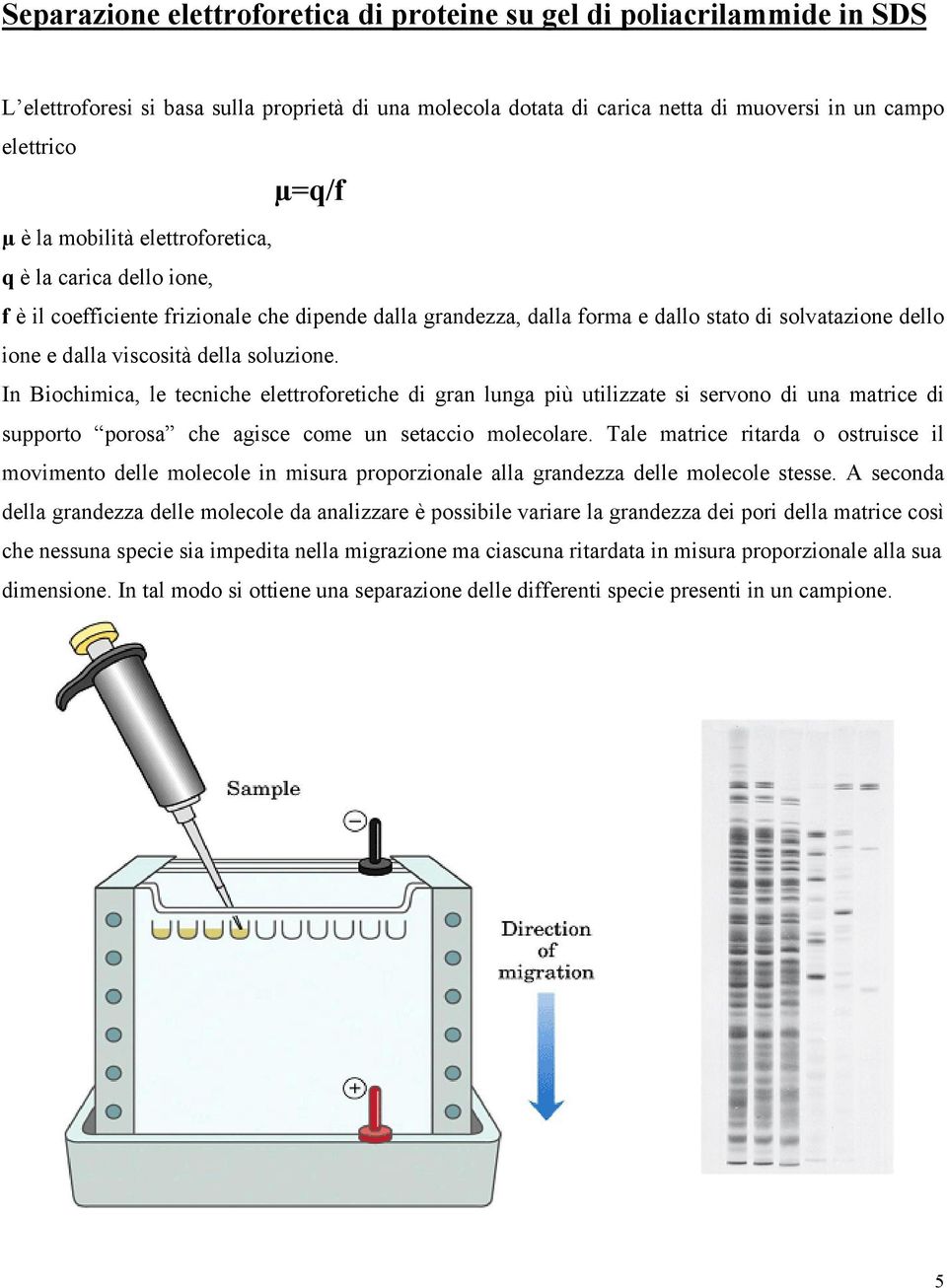 In Biochimica, le tecniche elettroforetiche di gran lunga più utilizzate si servono di una matrice di supporto porosa che agisce come un setaccio molecolare.