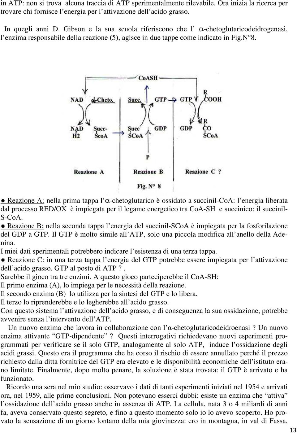 Reazione A: nella prima tappa l α-chetoglutarico è ossidato a succinil-coa: l energia liberata dal processo RED/OX è impiegata per il legame energetico tra CoA-SH e succinico: il succinil- S-CoA.