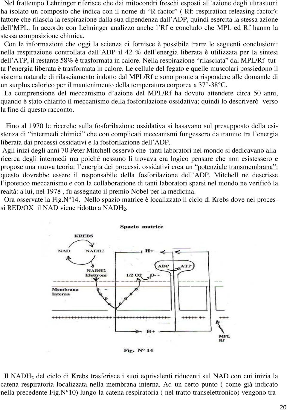 In accordo con Lehninger analizzo anche l Rf e concludo che MPL ed Rf hanno la stessa composizione chimica.