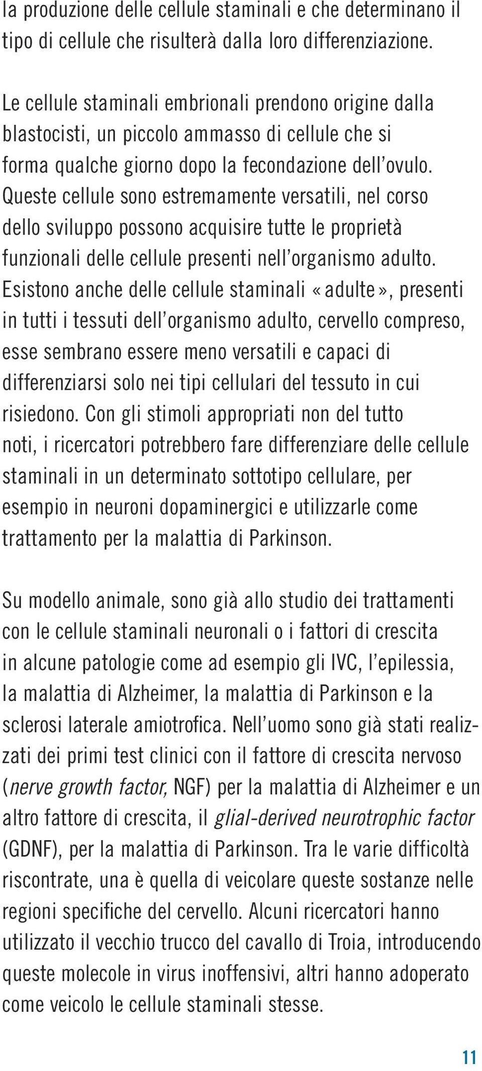 Queste cellule sono estremamente versatili, nel corso dello sviluppo possono acquisire tutte le proprietà funzionali delle cellule presenti nell organismo adulto.