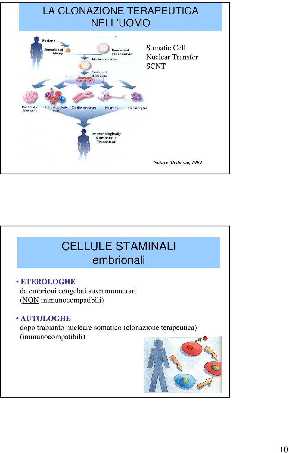 embrioni congelati sovrannumerari (NON immunocompatibili) AUTOLOGHE