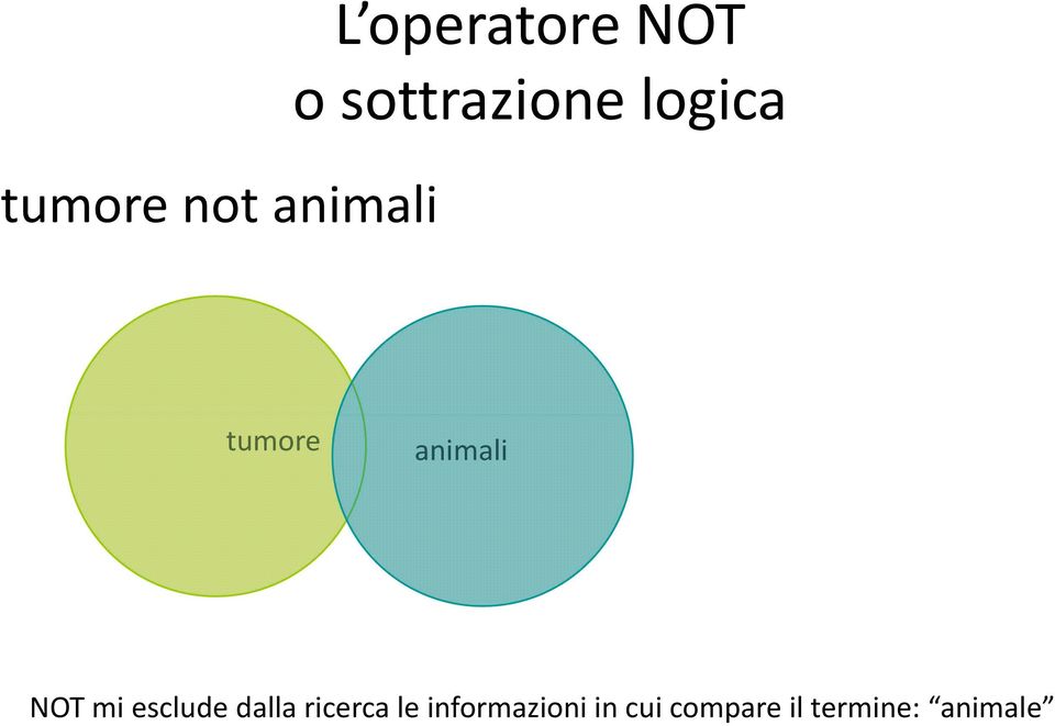 mi esclude dalla ricerca le