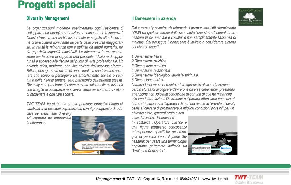 In realtà la minoranza non è definita da fattori numerici, nè da gap delle capacità individuali.