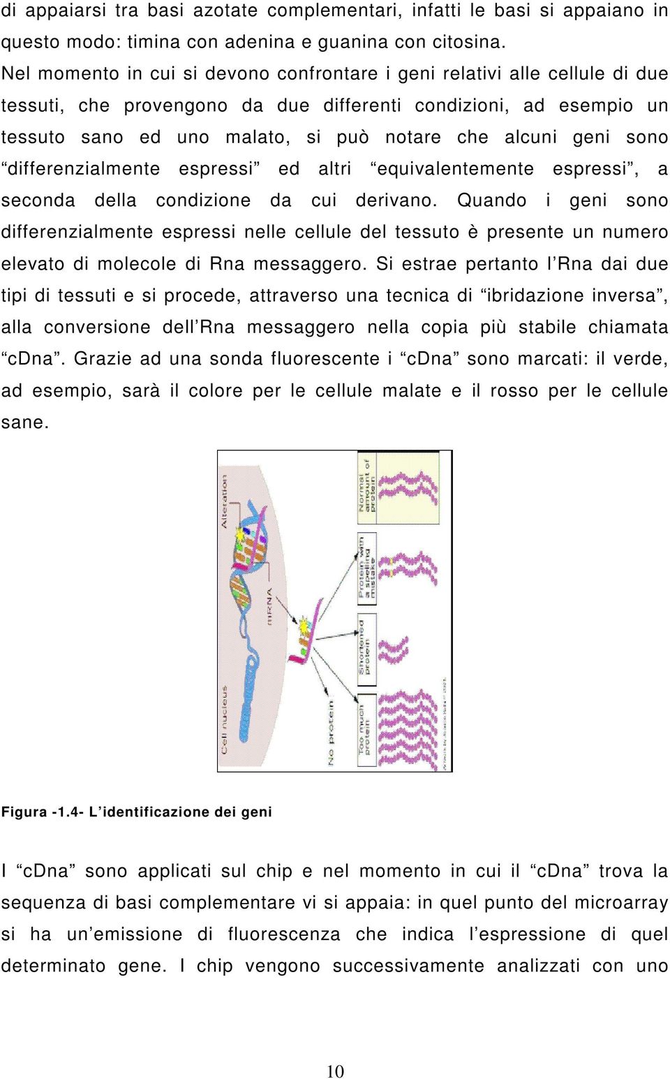 geni sono differenzialmente espressi ed altri equivalentemente espressi, a seconda della condizione da cui derivano.