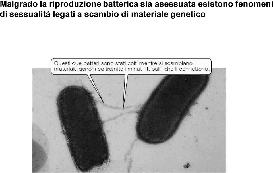 esistono fenomeni di