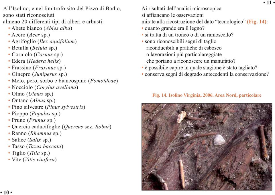 ) Melo, pero, sorbo e biancospino (Pomoideae) Nocciolo (Corylus avellana) Olmo (Ulmus sp.) Ontano (Alnus sp.) Pino silvestre (Pinus sylvestris) Pioppo (Populus sp.) Pruno (Prunus sp.