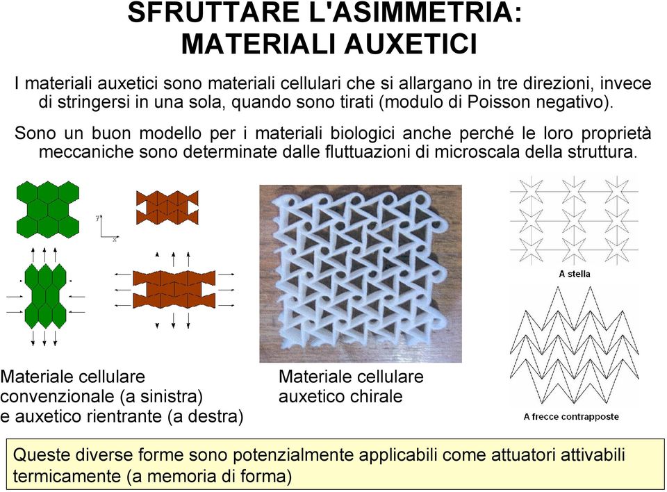 Sono un buon modello per i materiali biologici anche perché le loro proprietà meccaniche sono determinate dalle fluttuazioni di microscala della